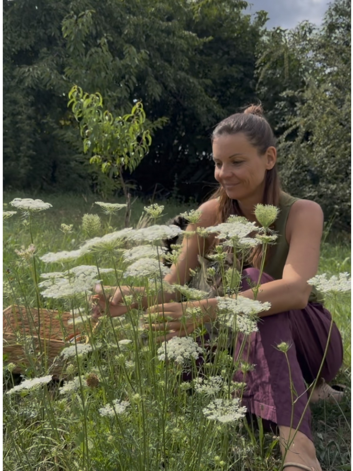 Melanie kniet in der Sommerwiese und erntet Wildpflanzen — Lammas-Schwellenritual